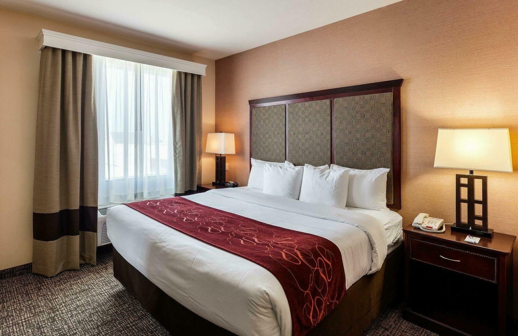 Comfort Suites Plano - Dallas North Eksteriør billede